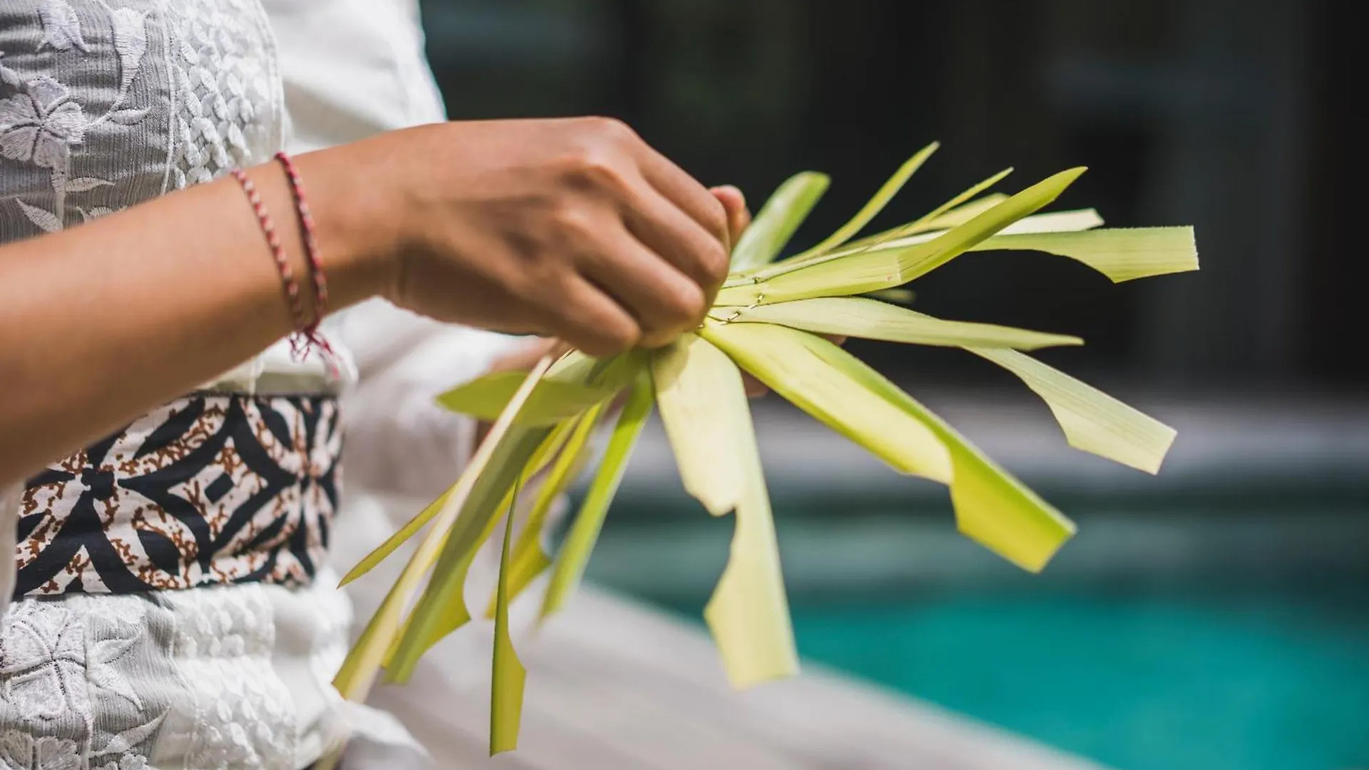 Isuite By Ekosistem Seminyak  Hotel Seminyak (Bali)